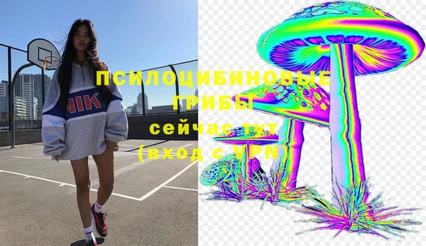 гидра Магас