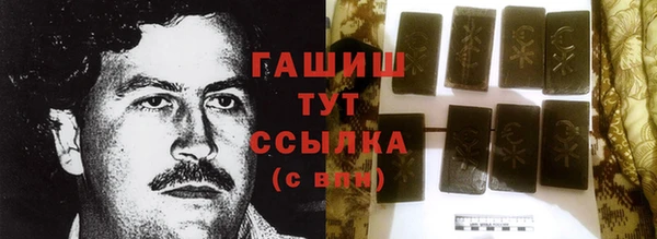 гидра Магас