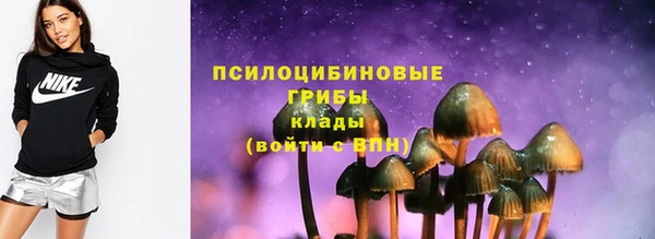 соль ск Медногорск