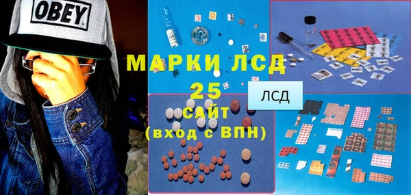 гидра Магас