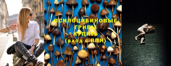 трава Майский