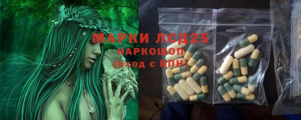 гидра Магас